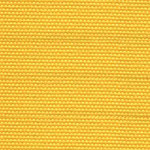 2619